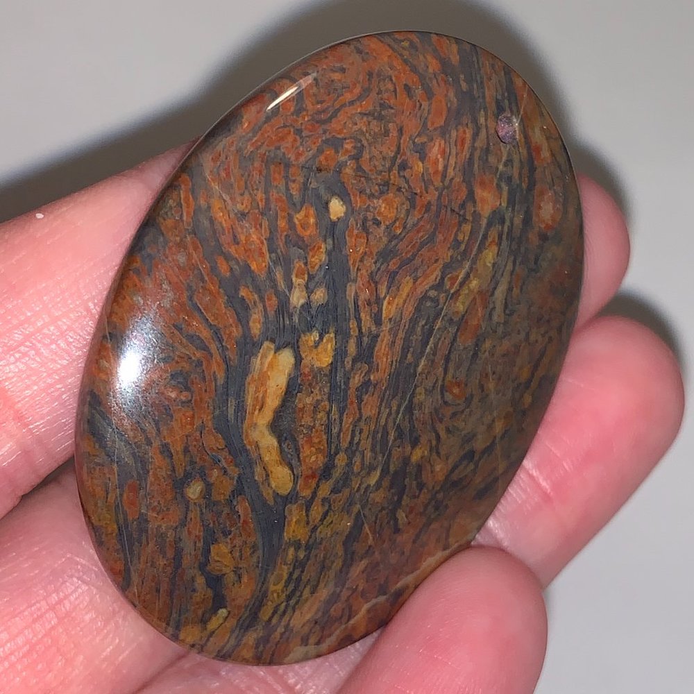 Oval Petrified Wood Focal